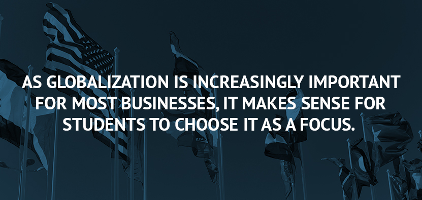 international business degree